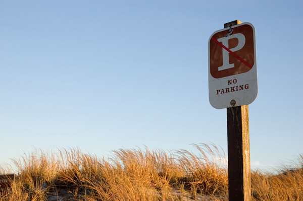 A 'No Parking' sign stands tall among beach grasses.