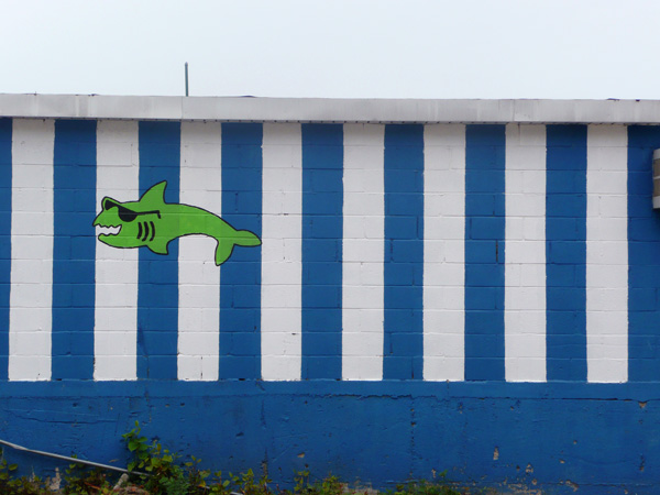 A cartoonish shark with sunglasses is on a striped wall.