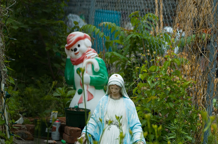 A statue of the Virgin Mary and a plastic snowman are in a
yard.