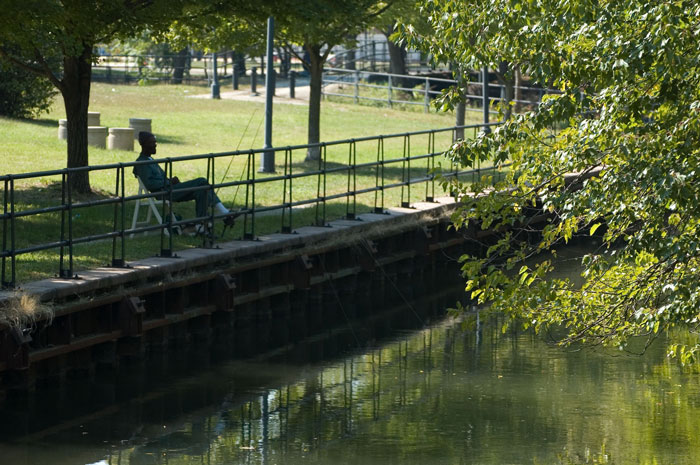 A man fishes by the banks of a meandering canal.