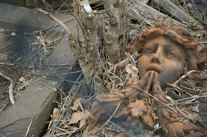 A terra cotta face, formerly on the side of a building, peaks up through dead leaves and branches.