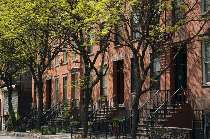 A man sits on his stoop on a tree-lined block of brick row houses.