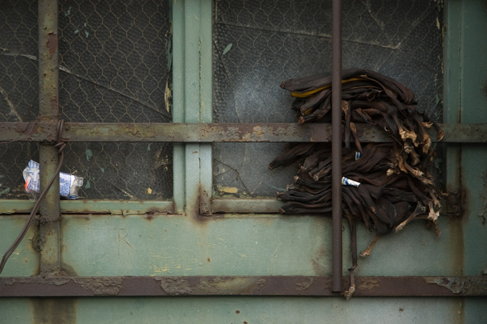 A stack of old banana peels has been wedged in between a window and its protective grate.