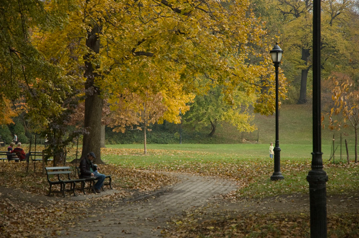 A brick walkway winds around a bench and lamp post; all the trees are in autumn colors.