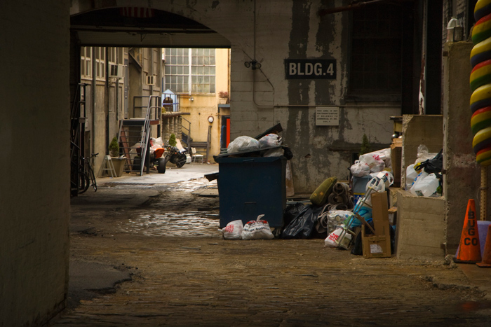 A dumpster and refuse have collected, waiting for the sanitation pick-up, in a building's alleyway.