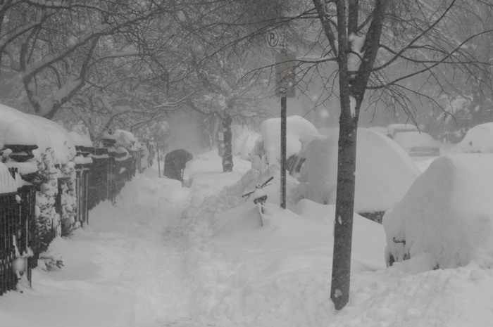 Cars, trees, and sidewalks have been covered with snow, and a man works to shovel it.
