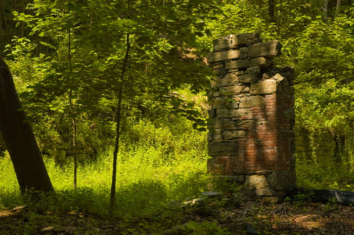 The bricks and stones of an old chimney stand erect and alone in a wooded area.
