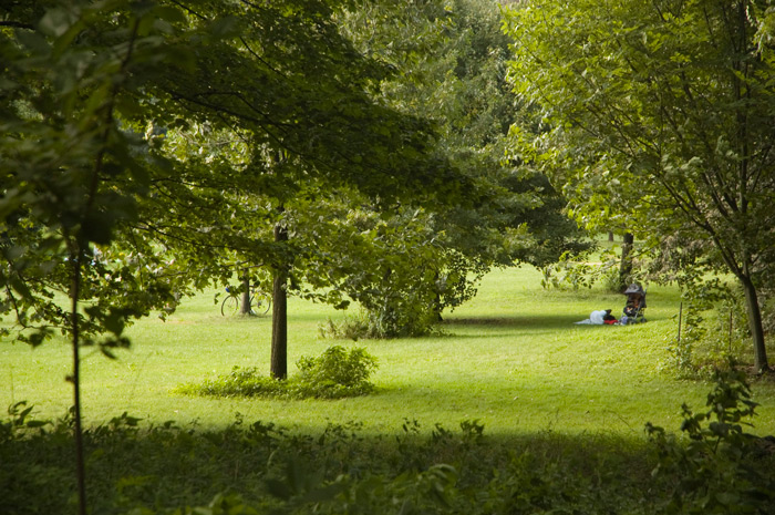 A stroller sits with parents nearby, in a clearing in a park.