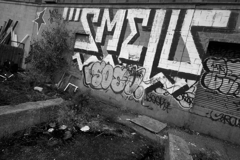 A graffiti writer's elaborate tag dominates a wall.