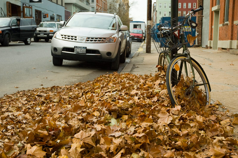 A pile of fallen leaves surrounds a bike