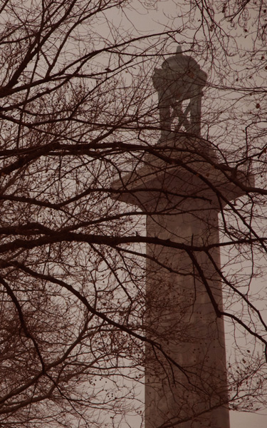 A fluted tower rises through barren trees.