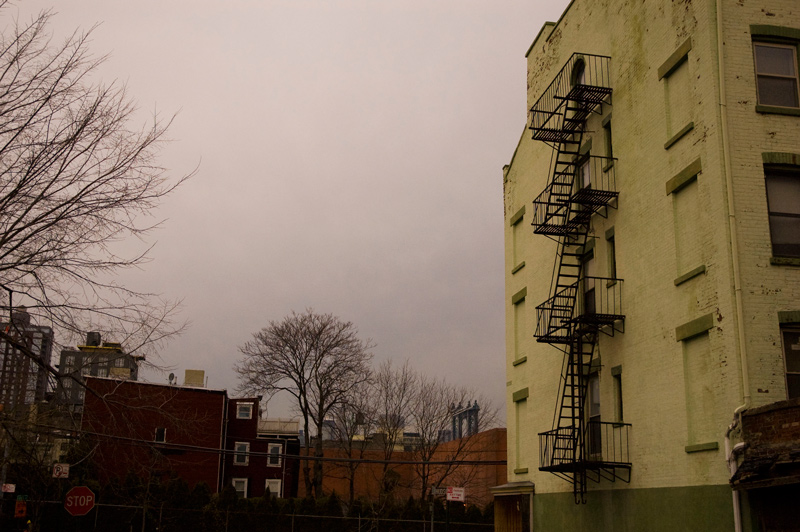 Bare trees and grey skies dominate short buildings.'