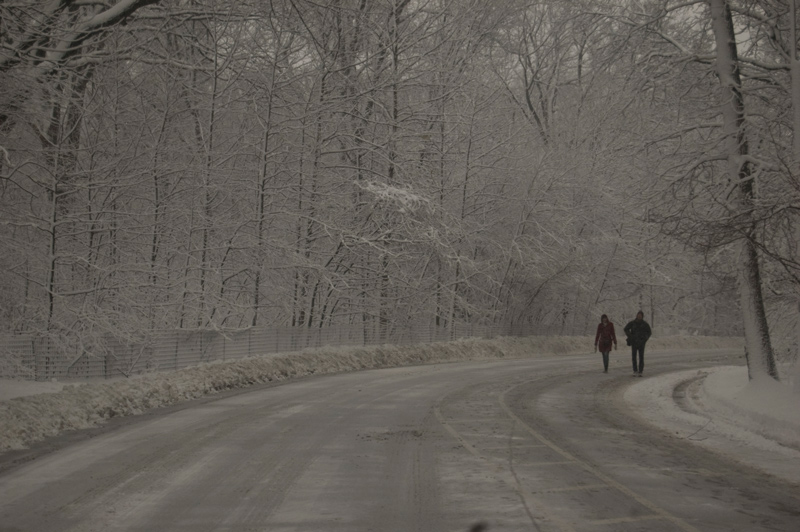 Two people walking around a bend, within snow-covered trees.