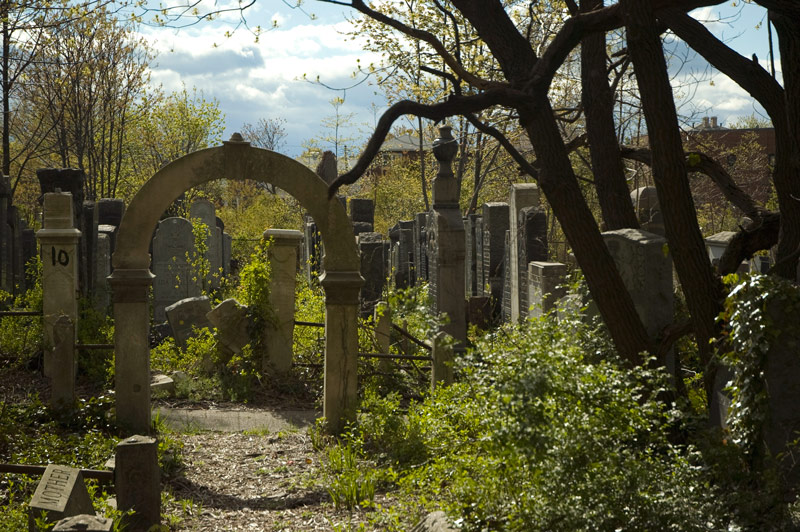 A concrete arch leading to graves in a cemetery with undergrowth.