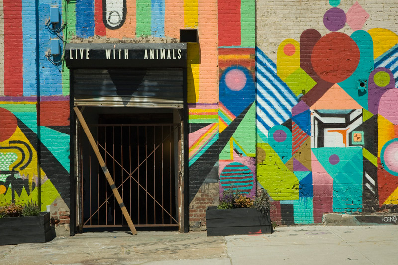 A sign over the entrance of a multi-colored building reads 'Live With Animals.'