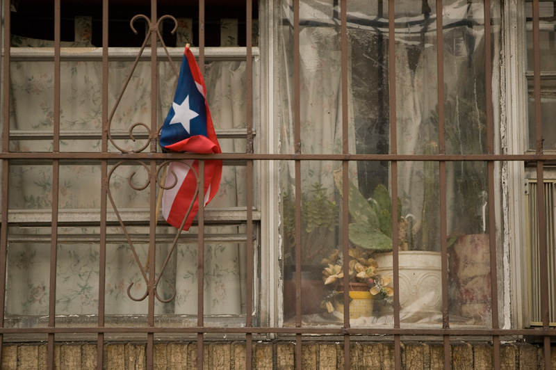 A small Puerto Rican flag, nestled next to a window with potted plants.