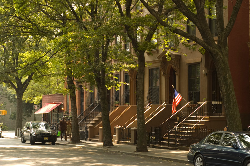 A tree-lined street with an American flag in front of a brownstone.