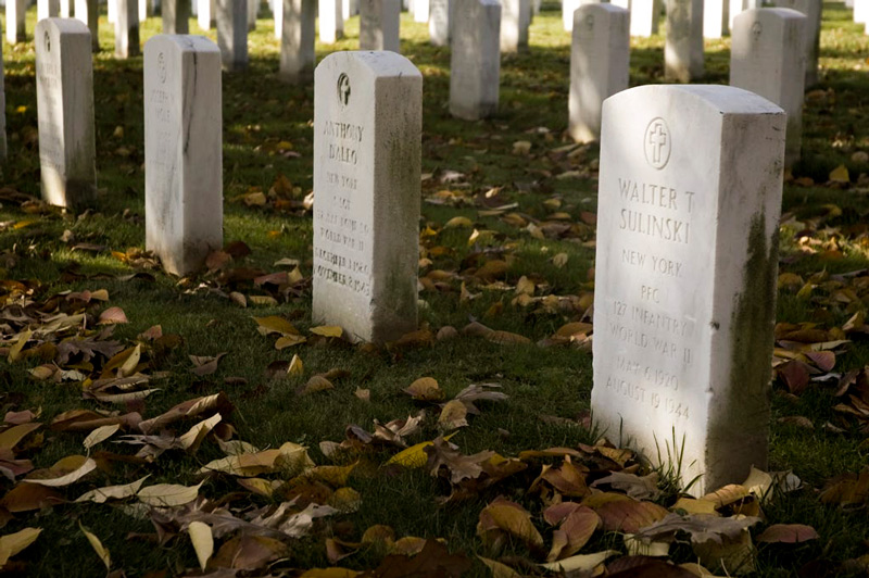 A military tombstone, in a national cemetery; with fallen autumn leaves.