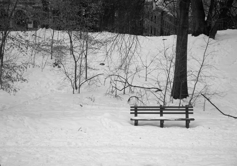 An empty bench in a park, surrounded by snow.
