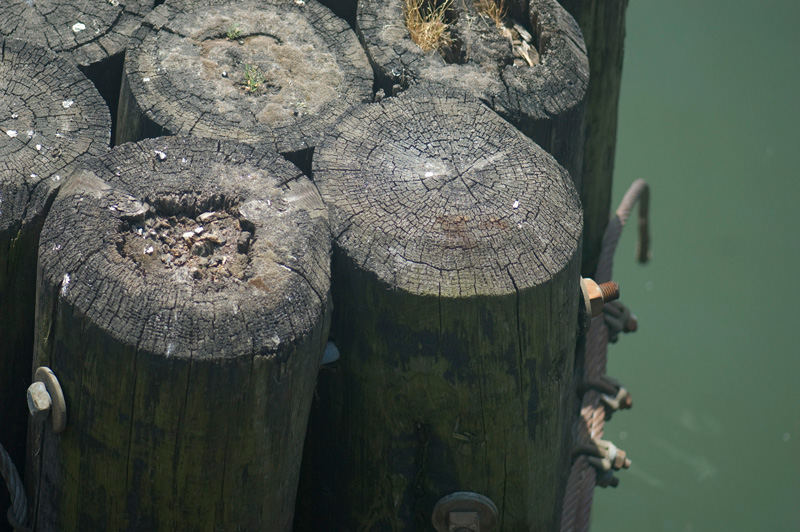 Wooden pilings.