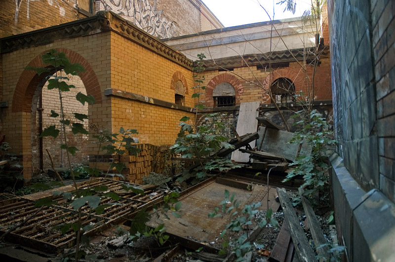 A courtyard, filled with debris, weeds, and graffiti