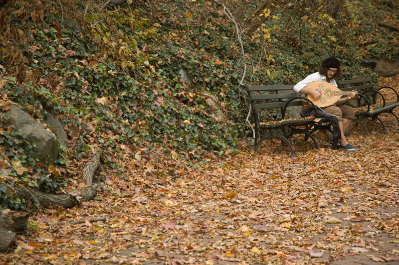A man on a park bench playing a lute.