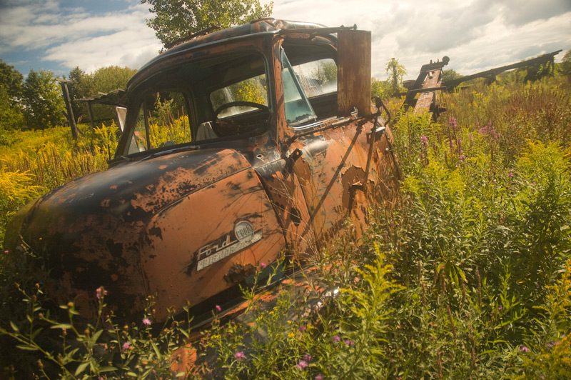 An old truck, rusting in weeds.