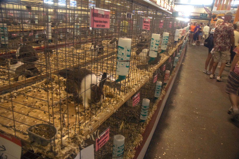 Stacks of rabbit cages, on display.