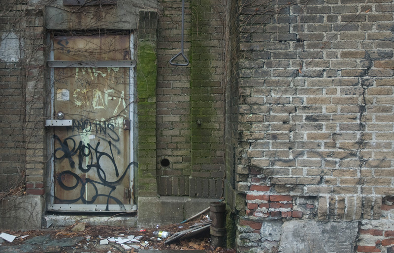 A door; graffiti and algae on the bricks.