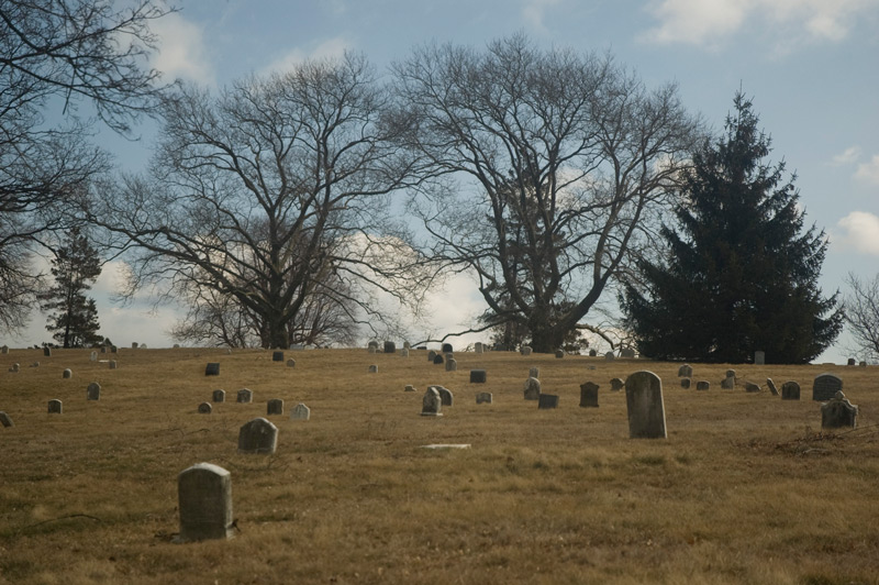 A field of scattered tombstones and bare trees.