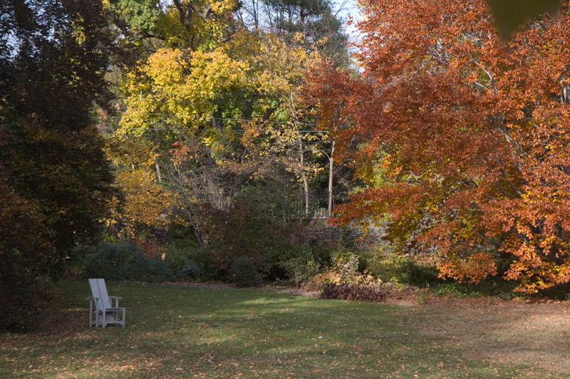 Trees in autumn colors, and a chair.