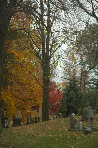 Tombstones amid autumn trees.