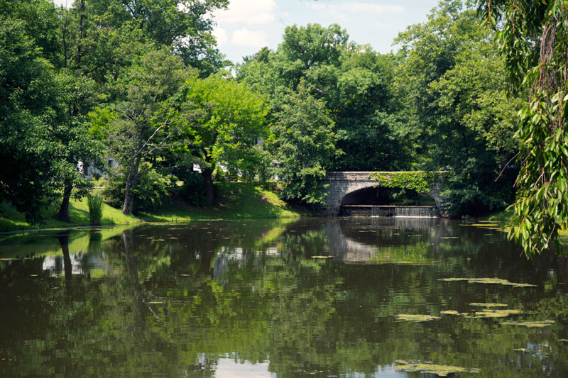A pond and bridge among trees.