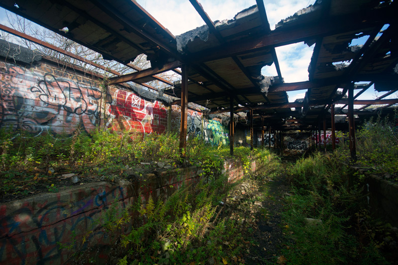 An abandoned, roofless building with graffiti.