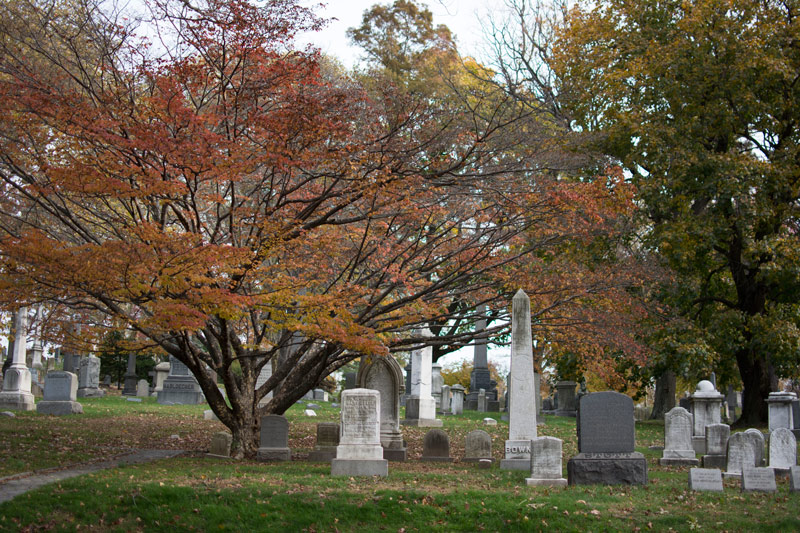 Trees in autumn colors, among tombstones.