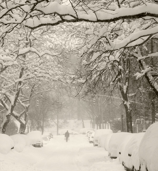 A man walks down a snowy, tree-lined street.