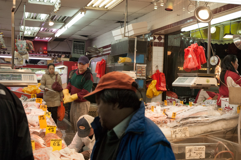 A fish store in Chinatown, showing fish on ice for sale.