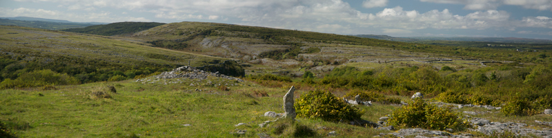 Patches of rocks and rock formations in a rolling, green landscape.