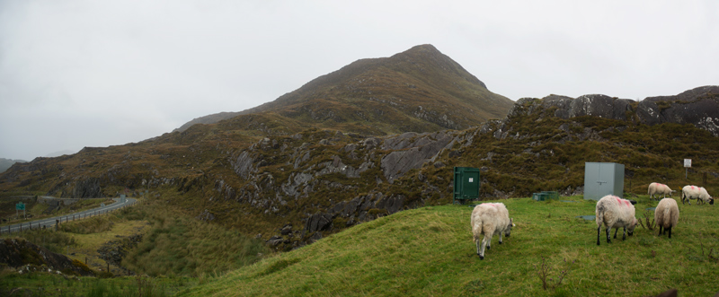 Sheep grazing near a mountain.