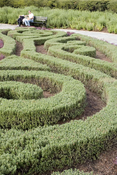 A decorative hedge is laid out in curls and swirls.