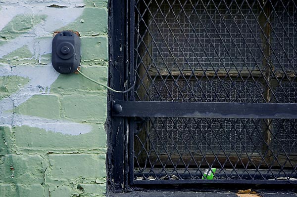 A window with a grate in front sits in a green brick
wall.